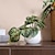 abordables Fleurs artificielles et vases-apportez la nature à l&#039;intérieur avec un décor en pot de plantes artificielles réalistes, parfait pour ajouter de la verdure et de la beauté à votre décoration intérieure