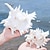 baratos Decoração de pátio-decoração de aquário de concha natural para paisagismo de aquário