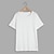 abordables T-shirts décontractés pour hommes-Homme T shirt Tee Plein Col Ras du Cou Plein Air Vacances Manche Courte Vêtement Tenue 100% Coton Mode Décontractées Confortable