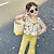 お買い得  セット-２個 子供 女の子 グラフィック パンツスーツ セットする ノースリーブ ファッション アウトドア 3～7歳 夏 イエロー