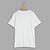 billige Casual T-shirts til mænd-Herre T-shirt Vanlig Rund hals Gade Ferie Kortærmet Tøj 100 % bomuld Mode Afslappet Bekvem