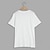 abordables T-shirts décontractés pour hommes-Homme T shirt Tee Plein Col Ras du Cou Plein Air Vacances Manche Courte Vêtement Tenue 100% Coton Mode Décontractées Confortable