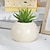 economico Sculture-vaso da fiori in resina per libri artigianali da piantare: migliora il tuo spazio con questo elegante pezzo di arredamento per la casa