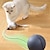 economico elettrodomestici-palla giocattolo interattiva per gatti a batteria con mouse di tracciamento teaser automatico per tutte le razze alimentata a batteria (batterie non incluse)