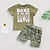 billige Sæt-2 Dele Baby Drenge T-shirt &amp; Shorts Outfit Grafisk Kortærmet Sæt Skole Mode Daglig Sommer Forår 3-7 år Militærgrøn