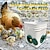 billiga fågelskådning på bakgården och vilda djur-gör-det-själv-matarport för kyckling, inget avfall, automatisk utfodringssats för fjäderfä, regntålig, gravitationsautomat för skopor, tunnor, tråg