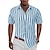 billige skjorte med knapper til mænd-Herre Skjorte Button Up skjorte Casual skjorte Sommer skjorte Strandtrøje Sort Rød Blå Grå Kortærmet Stribe Aftæpning Hawaiiansk Ferie Tøj Mode Afslappet Bekvem