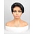 Χαμηλού Κόστους Συνθετικές Trendy Περούκες-Συνθετικές Περούκες Ίσιο Πλευρικό μέρος Περούκα 10 ίντσες Μαύρο Συνθετικά μαλλιά Γυναικεία Μαύρο