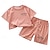 preiswerte Sets-2 Stück T-Shirt für Kleinkinder &amp;Shorts Outfit Grafik Kurzarm Set Schulmode Alltag Sommer Frühling 3-7 Jahre