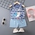 voordelige Sets-2-delig Peuter Jongens T-shirt &amp; shorts Kleding Grafisch Mouwloos Set School Modieus Dagelijks Zomer Lente 3-7 jaar E39-honkbalshirt E33-gestreepte krokodil E37-Saiqi
