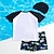 baratos Roupa de natação-Infantil Para Meninos roupa de banho Gráfico Manga Curta Ao ar livre Férias Palha Tubarão Branco + Marinho Verão Roupas 3-7 anos