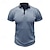 ieftine Polo clasic pentru bărbați-Bărbați Tricou polo Waffle Cămașă de golf Casual Concediu Rever Guler polo cu nervuri Manșon scurt Modă De Bază Simplu Buton Moale Vară Primăvară Fit regulat Verde De Armată Negru Alb Vișiniu