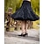 Недорогие Костюмы Старого света-Прицесса 1950-е года Нижняя юбка пачка Под юбкой До колена Жен. Однотонный Нижняя юбка