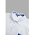 abordables Chemises lin et coton-Homme Chemise Chemise Lin Chemise boutonnée Chemisette Chemise d&#039;été Chemise de plage Blanche Bleu Bleu de minuit manche longue Feuille Revers Printemps été Casual du quotidien Vêtement Tenue