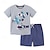 Недорогие Комплекты-2 футболки для маленьких мальчиков &amp; шорты наряд комплект с короткими рукавами и графикой школьная мода на каждый день лето весна 3-7 лет