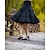voordelige Historische &amp; vintage kostuums-Princes Jaren &#039;50 Onderrok Tutu Onder rok Halve Slip Tot de knie Dames Effen Onderrok