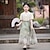 billige Sæt-hanfu piges hest ansigt nederdel sommer sæt stor dreng sommer kinesisk gammel kjole piges tang kjole pige kjole