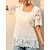 preiswerte Blusen und Hemden für Damen-Damen Spitzenhemd Kontrastspitze Elegant Stilvoll Kurzarm Quadratischer Ausschnitt Weiß Sommer