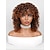 cheap Synthetic Trendy Wigs-Synthetic Wig Afro Curly Neat Bang Wig 14 inch Black / Brown Synthetic Hair Women Mixed Color