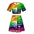 cheap Carnival Costumes-LGBT LGBTQ Rainbow Skirt Outfits T-shirt Crop Top Tee Adults&#039; Women&#039;s Cosplay Pride Parade Pride Month Masquerade Easy Halloween Costumes