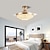 abordables Ventilateurs de plafond lumineux-Ventilateur de plafond LED globe suspendu au plafond sur table 1 lumière 90/105 cm design unique 3 couleurs en métal galvanisé style nordique moderne chambre à coucher 110-240 V