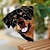 preiswerte Wandskulpturen-Sonnenfänger mit guckendem Hund, lustiges Fenster-Eckdekor, handgemachtes Acryl-Ornament mit guckendem Hund, Sonnenfänger für Hausgarten-Bauernhaus-Dekor, Geschenk für Hundeliebhaber