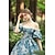Χαμηλού Κόστους Ιστορικές &amp; Vintage Στολές-Barroco Εμπνευσμένο από Βίντατζ Μεσαίωνα Φορέματα Κοστούμι πάρτι Φόρεμα χορού Πριγκίπισσα Σαίξπηρ Γυναικεία Λουλούδι Βραδινή τουαλέτα Απόκριες Πάρτι Βραδινό Πάρτυ Μασκάρεμα Φόρεμα