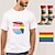 cheap Pride Shirts-LGBT LGBTQ T-shirt Pride Shirts with 1 Pair Socks Rainbow Flag Set Will Say Gay Florida Funny Queer Lesbian Gay T-shirt For Couple&#039;s Unisex Adults&#039; Pride Parade Pride Month Party Carnival