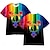 abordables Sudaderas y camisetas de anime para cosplay de uso diario-LGBT LGBTQ bandera arcoiris T-Shirt Arco iris Gráfico Para Hombre Adulto Carnaval Mascarada Impresión 3D Desfile del orgullo Mes del Orgullo
