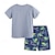cheap Sets-Pieces Toddler Boys T-shirt &amp; Shorts Outfit Graphic Short Sleeve Set School Fashion Daily Summer Spring 3-7 Years