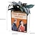 cheap Statues-Reading Vase/Pencil Holder, Gift for Book Enthusiasts, Reading Vase Pencil Holder,F*ck You and These Plants Cat Book Pencil Holder Home Decoration Gift