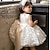 preiswerte Kleider-Baby Mädchen Party Kleid Pailletten Ärmellos Leistung Gitter Kuschelig Prinzessin Polyester Übers Knie Etuikleid Tüll-Kleid Sommer Frühling Herbst 3-7 Jahre Weiß