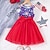 billige Kjoler-jenter glamorøs patriotisk flagg kjole - mesh &amp; tyllskjørt med glitrende stjerneoverdel - perfekt for uavhengighetsdagen &amp; festlige høytider - søtt barneantrekk