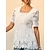 abordables Chemises Pour Femme-Femme Chemise en dentelle Dentelle contrastée Elégant mode Manche Courte Col Carré Blanche Eté