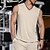 preiswerte Oberteile-Herren T-Shirt Weste für Wanderer Ärmellos V Ausschnitt Muskelshirt Ärmelloses Hemd Tanktop Außen Schnelltrocknend Weich Schweißableitend Polyester Schwarz Grün Aprikose Klettern Camping / Wandern