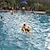 cheap Water Toys-Water Play Equipment Inflatable Pool Float Non Toxic PVC Beach Theme Creative Outdoor Summer All Child&#039;s Adults&#039;