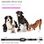 preiswerte Hundetraining-automatisches Anti-Bell-Halsband Anti-Bell-Gerät für Hunde Trainingsverhaltenshilfen 4 Trainingsmodi 8 Empfindlichkeiten wasserdicht wiederaufladbar