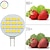 economico Luci LED bi-pin-lampadine a led g4 2w, 24-2835 smd, ac/dc 12v-24v, sostituzione alogena super luminosa 20w, bianco freddo naturale per camper, roulotte, mobile e barca (10 pezzi)