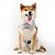 abordables Disfraz de Halloween para mascota-Perros Disfraces Cuello Bozales Portador del Anillo Elegante Víspera de Todos los Santos día de San Valentín Boda Fiesta  Ropa Para Cachorros De Perros