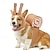 cheap Halloween Pet Costume-Dog Halloween Costumes Dog Costume Snails Cute Funny Soft Halloween Carnival Party  Dog Puppy Clothes Outfits