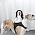 billiga Halloween husdjurskostym-Hund Katt Halloweendräkter Hundkostym Spöke Läskig kostym Riddarstil Mjuk Halloween Karnival Fest  Kläder för hundvalp