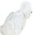 preiswerte Halloween-Haustierkostüm-Hunde Katzen Halloweenkostüm Hunde-Kostüm Engel Kuschelig Lustig Weich Halloween Karneval Party Kleidungs-Outfits für Hundewelpen