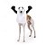 preiswerte Halloween-Haustierkostüm-Hunde Halloweenkostüm Hunde-Kostüm Geist Lustig Gruseliges Kostüm Weich Halloween Karneval Party Kleidungs-Outfits für Hundewelpen
