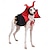 baratos Fantasia de Halloween para animais de estimação-Cachorros Gatos Trajes da Noite das Bruxas Fantasias Bruxa Maléfico Traje Assustador Macio Dia Das Bruxas Carnaval Festa  Roupas de cachorro para cachorro