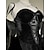 billige Djevler &amp; Engler-Fallen engel Halloween Cosplay kostyme Drakter Dødsengler Cosplay Voksne Dame Karneval Maskerade Mardi Gras Fest Maskerade Enkle Halloween-kostymer Kle deg opp