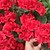 billige Kunstig blomst-kunstig rød pelargonium silkeblomster udendørs plantebusk 2 bundter kunstige blomster pelargonier til udendørs blomstret boligindretning indendørs have gårdhave vase grav kirkegård bord centerpieces