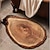 abordables Portes-paillasson tapis de sol antidérapant anneau d&#039;arbre tronc 3D rondin de bois imprimé tapis de bain tapis asorbant l&#039;eau pour intérieur extérieur patio chambre cuisine bureau