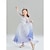 cheap Girls&#039; Costumes-Frozen Fairy Tale Princess Elsa Outfits Flower Girl Dress Theme Party Costume Girls&#039; Movie Cosplay Cosplay Carnival Children&#039;s Day Party / Evening