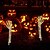 preiswerte Halloween im Freien-2 Stück Halloween-Skeletthand-Gartenlampe, Arme, Handpfähle, realistisch aussehende Halloween-Rasen-Gartendekor-Lichtrequisiten, LED-leuchtende Geisterhand in Totenkopfform, Plug-in-Lampe