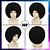 abordables Perruques historiques-Perruque afro pour hommes pour les fêtes disco des années 70 perruque afro noire pour hommes et femmes perruques afro unisexes pour un usage quotidien et en soirée (noir) perruques d&#039;Halloween